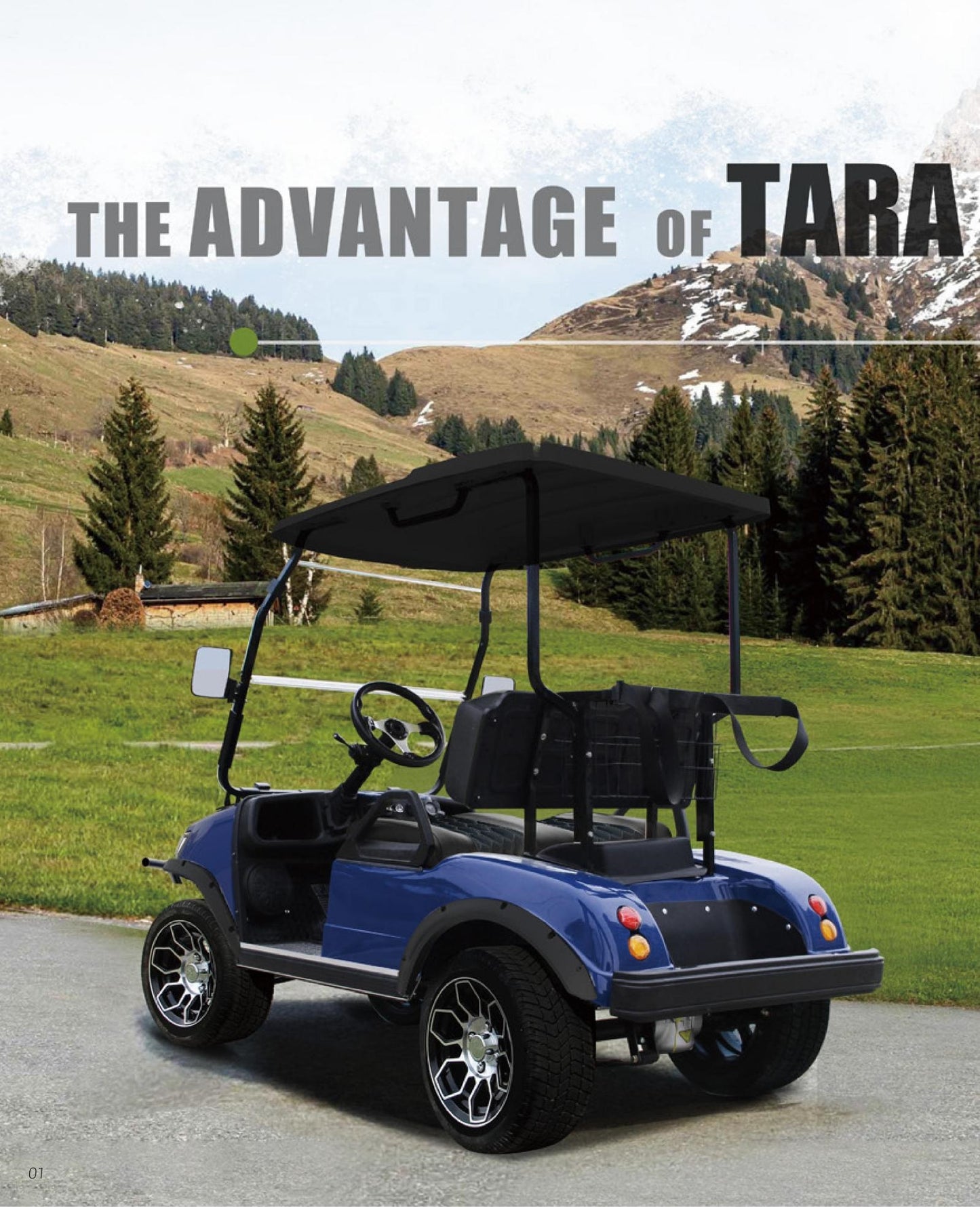 Tara Titan 700 Lithium Battery 2 Seats Electric Golf Utility Cart