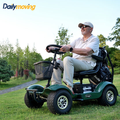 Dailymoving DM416 single seat lithium battery electric golf scooter cart buggy off road mobility scooter