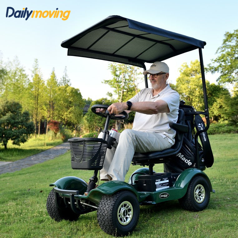 Dailymoving DM416 single seat lithium battery electric golf scooter cart buggy off road mobility scooter