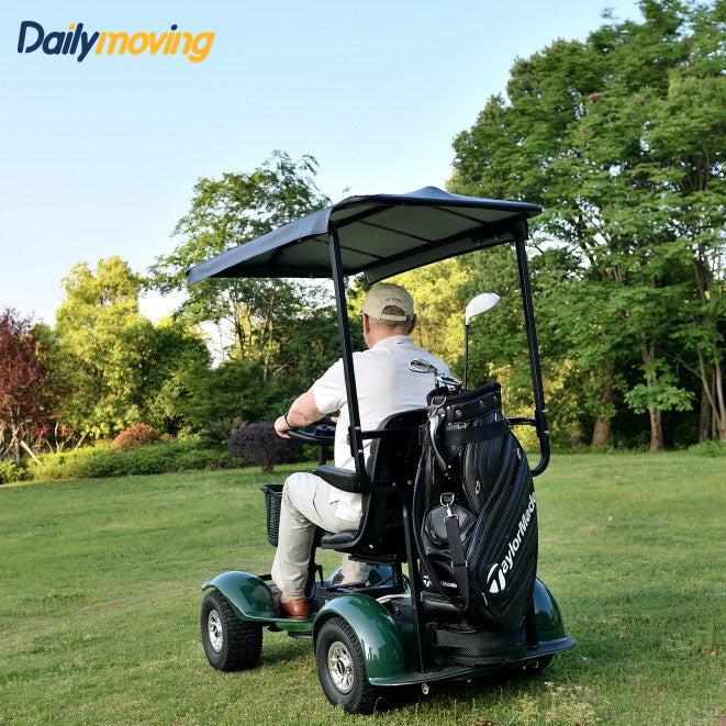 Dailymoving DM416 single seat lithium battery electric golf scooter cart buggy off road mobility scooter