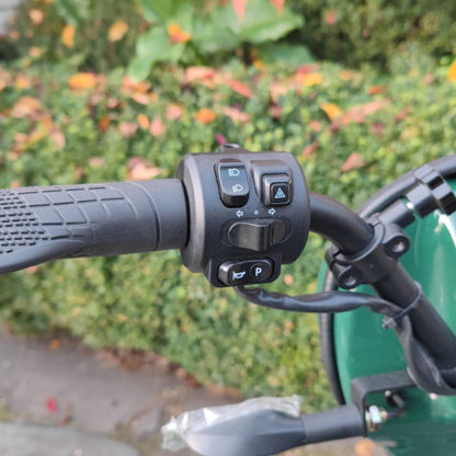DM418Pro Off-Road Scooter