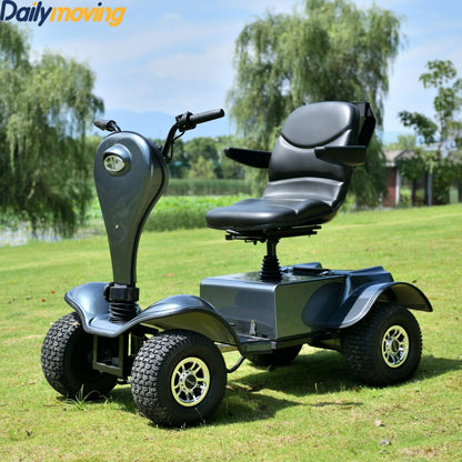 Dailymoving DM418 single seat lithium battery electric mobility scooter farm golf scooter cart buggy