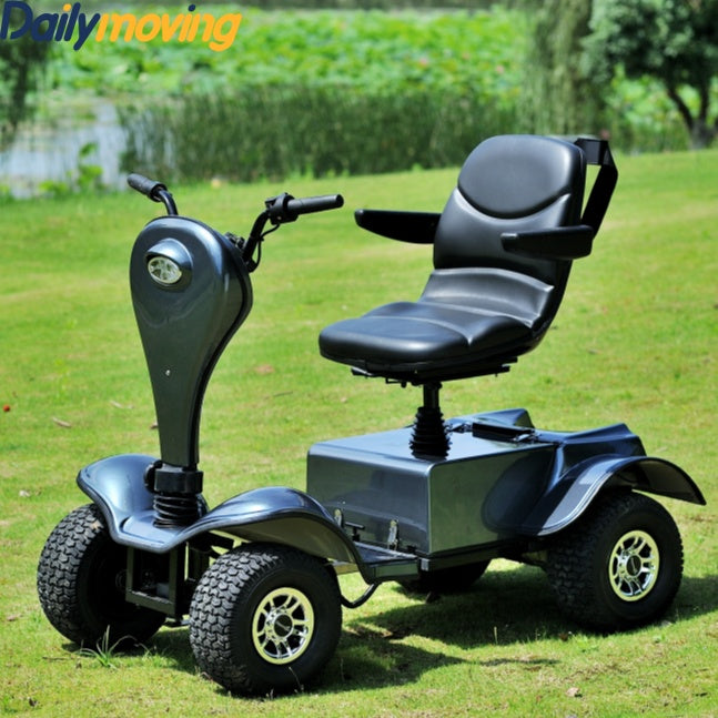 Dailymoving DM418 single seat lithium battery electric mobility scooter farm golf scooter cart buggy