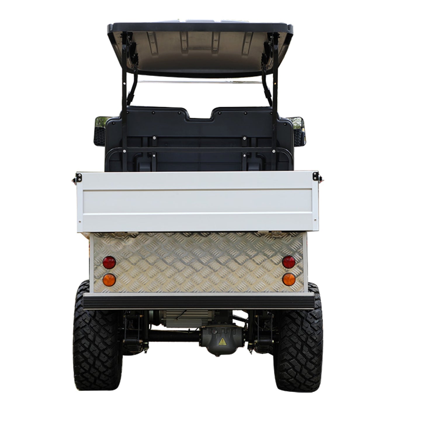 Tara Titan 700 Lithium Battery 2 Seats Electric Golf Utility Cart